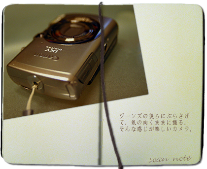 canon IXY 800is