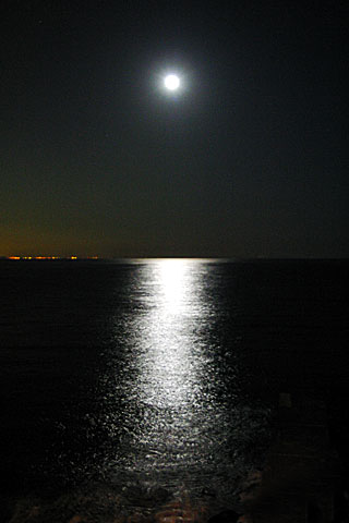 moonlight.jpg